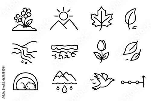 Seasonal Icon Set. Outline icon set of seasonal changes in alpine zones: spring bloom, summer sun, autumn leaf