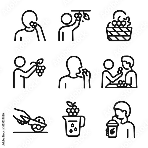 Grape Icons Collection. Outline icon set of grape eating and enjoyment: eating grapes, grape picking, grape basket, grape smoothie
