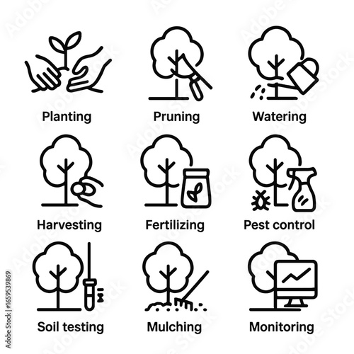 Grove Farming Icon Set. Outline icon set of grove farming activities: planting, pruning, watering, harvesting, fertilizing, pest