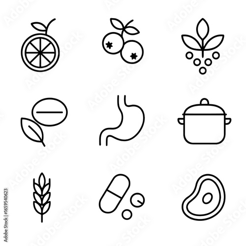Iron Absorption Icons. Outline icon set of iron absorption factors: vitamin C, tannins, phytates, calcium, stomach acid, cooking