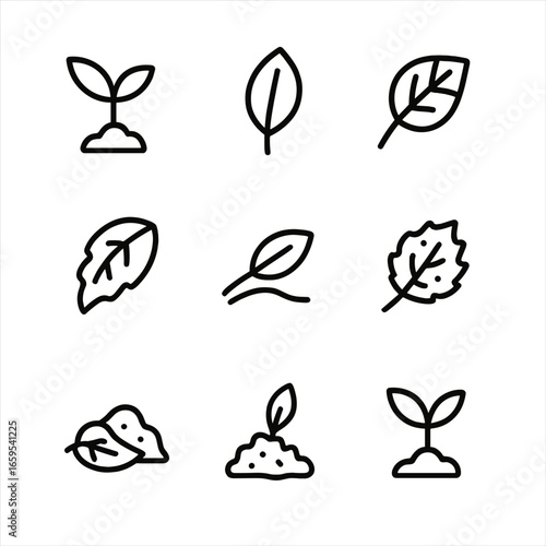 Leaf Lifecycle Icons. Outline icon set of leaf lifecycle: seedling leaf, young leaf, mature leaf, aging leaf, fallen leaf,