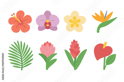 Tropical Flower Grid. Flat vector mini-illustrations tropical centerpiece flowers in colors children's