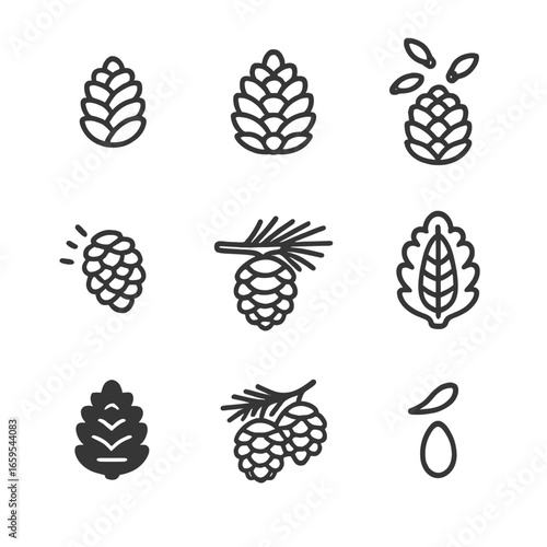 Pine Cone Lifecycle Icons. Outline icon set of pine cones lifecycle: immature cone, mature cone, seed dispersal, cone falling,