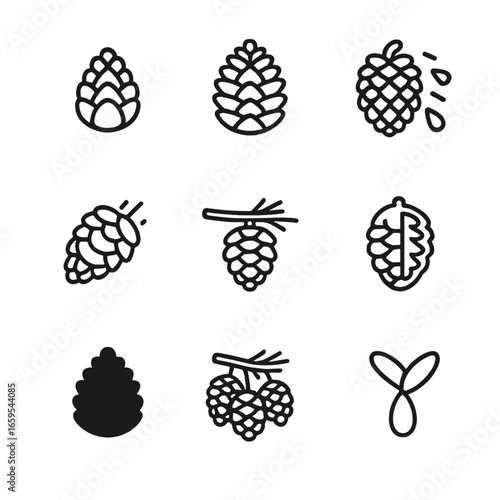 Pine Cone Lifecycle Icons. Outline icon set of pine cones lifecycle: immature cone, mature cone, seed dispersal, cone falling,