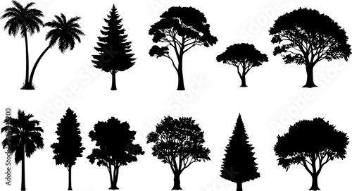 Diverse tree silhouettes including palms and conifers
