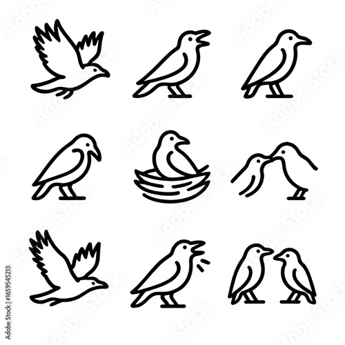 Raven Behavior Icons. Outline icon set of raven behaviors: flying, cawing, perching, preening, nesting, feeding, soaring, calling,