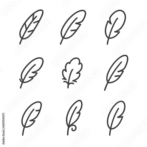 Outline Feather Icon Set. Outline icon set of bird feather types: primary feather, secondary feather, tail feather, covert feather