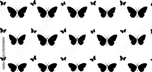 Black butterflies pattern butterfly insect
