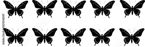 Black butterflies pattern butterfly insect
