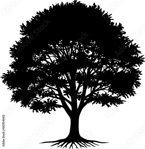 Black silhouette of a deciduous tree with spreading branches and roots
