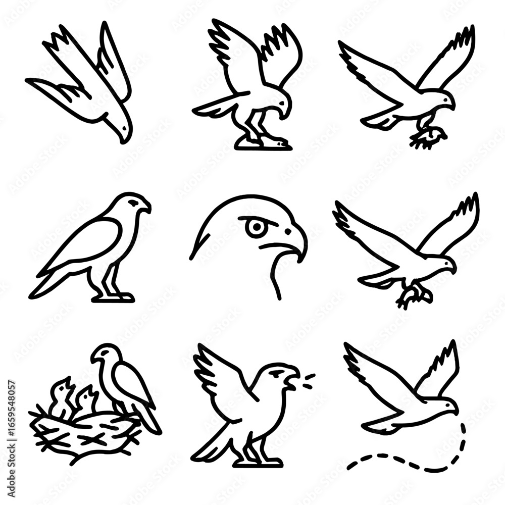 Obraz premium Hawk Hunting Icon Set. Outline icon set of hawk hunting: diving hawk, prey capture, flying with prey, hunting stance, focused eyes