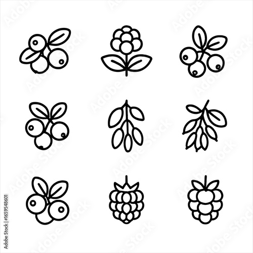 Wild Berries Icon Set. Outline icon set of wild berries: huckleberry, cloudberry, chokeberry, lingonberry, serviceberry, barberry,