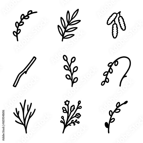 Willow Branch Icons. Outline icon set of willow branches: curved willow branch, branch with leaves, branch with catkins, broken
