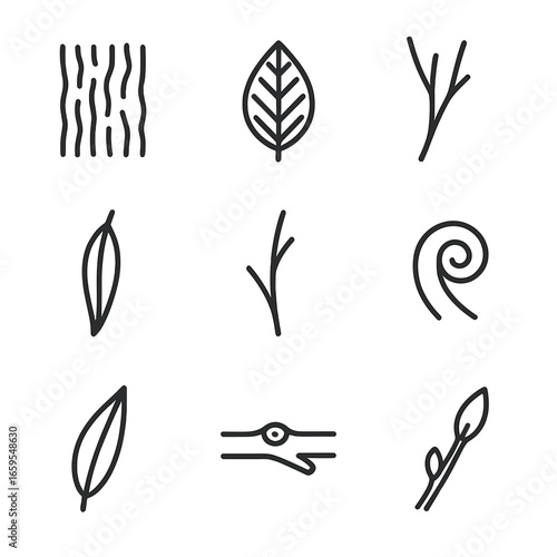Willow Tree Icon Set. Outline icon set of willow tree details: bark texture, leaf vein detail, branch silhouette, drooping leaf
