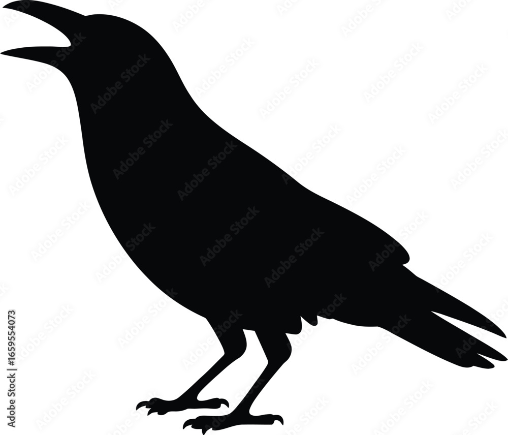 Fototapeta premium Black bird open beak standing silhouette crow