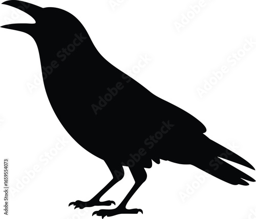 Black bird open beak standing silhouette crow
