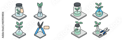Plant Propagation and Cultivation Icons, Minimalist flat design