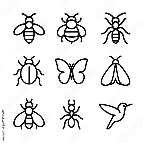 Pollinator Insect Icons. Outline icon set of pollen related insects: honeybee, bumblebee, wasp, beetle, butterfly, moth, fly, ant,