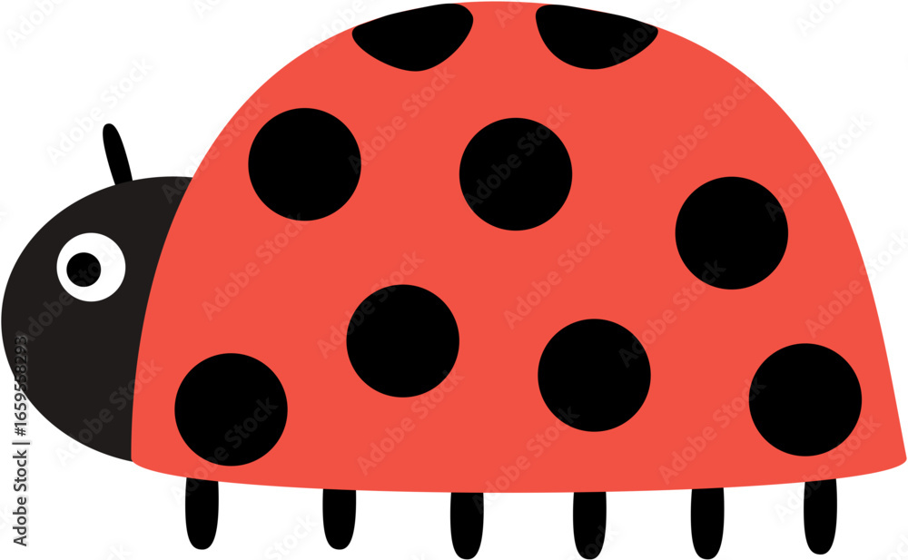 Fototapeta premium 곤충