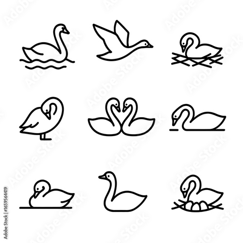 Swan Behaviors Icon Set. Outline icon set of swan behaviors: swimming, flying, nesting, preening, feeding, mating dance, resting,