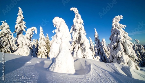 Wallpaper Mural Snowy mountaintops with frosted trees Torontodigital.ca