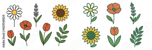 Colorful vector illustration of various flowers and plants in spring