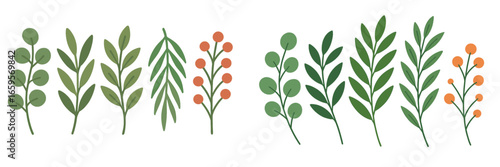 Colorful vector illustration of various leaves and berries for design