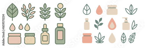Botanical skincare vector illustration featuring natural elements