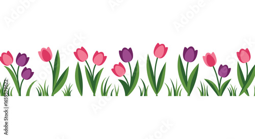 A row of colorful tulips and grass on a white background