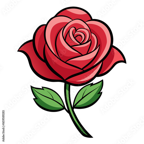 red rose isolated on white