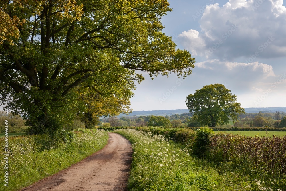 Fototapeta premium Cotswold country lane near Chipping Campden, Gloucestershire, England