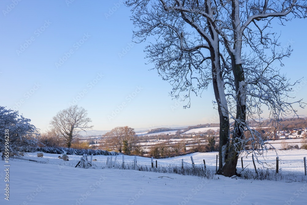 Fototapeta premium Cotswold landscape in snow, Gloucestershire, England