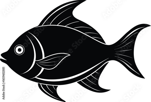 fish vector illustration