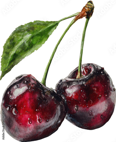 Close-up of two ripe dark cherries with water droplets and a leaf Watercolor PNG