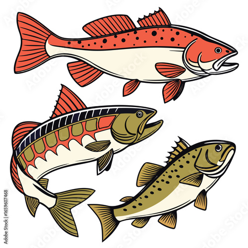 Colorful marine and freshwater fish collection, perfect for aquatic wildlife illustration and education