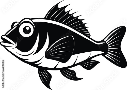 fish vector illustration