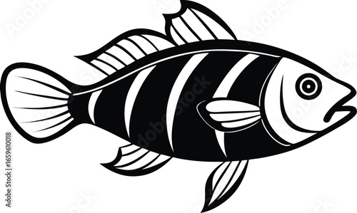 fish vector illustration