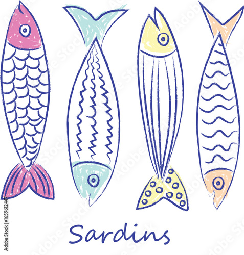 Hand drawn style sardine fish. Outline doodle fish set. Retro style sardine fish illustration. Cute Hand Drawn Sardines vector illustration