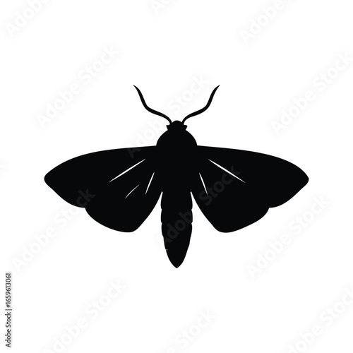 Silhouette of a moth with detailed wings and antennae on white background, Moth with wings silhouette vector illustration
