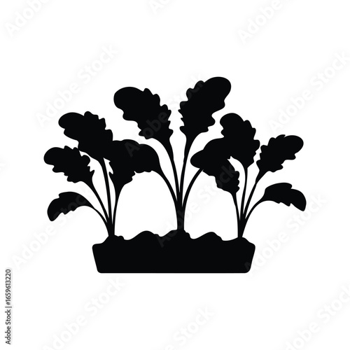 Black silhouette drawing of leafy vegetables in a rectangular pot or container, Leafy vegetable silhouette vector illustration