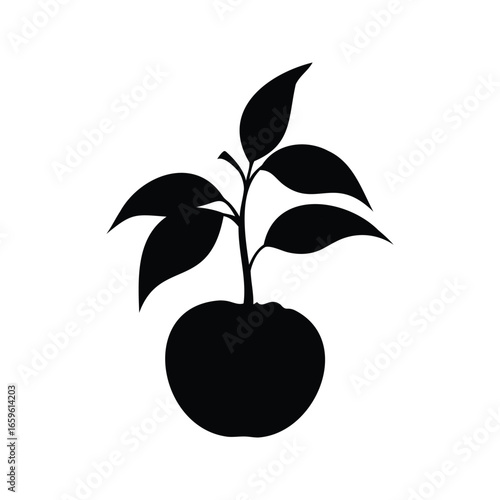 Elegant black silhouette of an apple tree seedling with leaves on top, Apple tree silhouette vector illustration