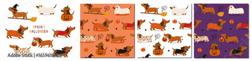 FULL SET OF  DACHSUND FOR HALLOWEEN - CUTE DOG ILLUSTRATION AND PATTERN FOR INVITATIONS, GREETING CARD AND PRINTS