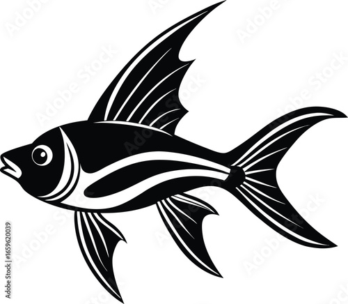 fish vector illustration
