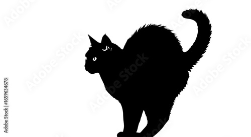 Black Cat Silhouette Striking Image of a Feline in a Bold Pose Against a White Background