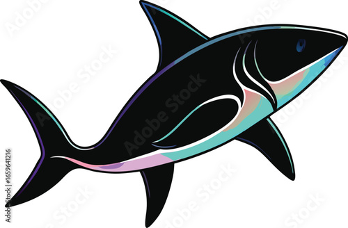 shark vector illustration