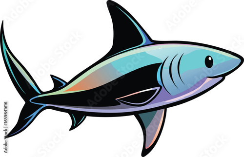 shark vector illustration