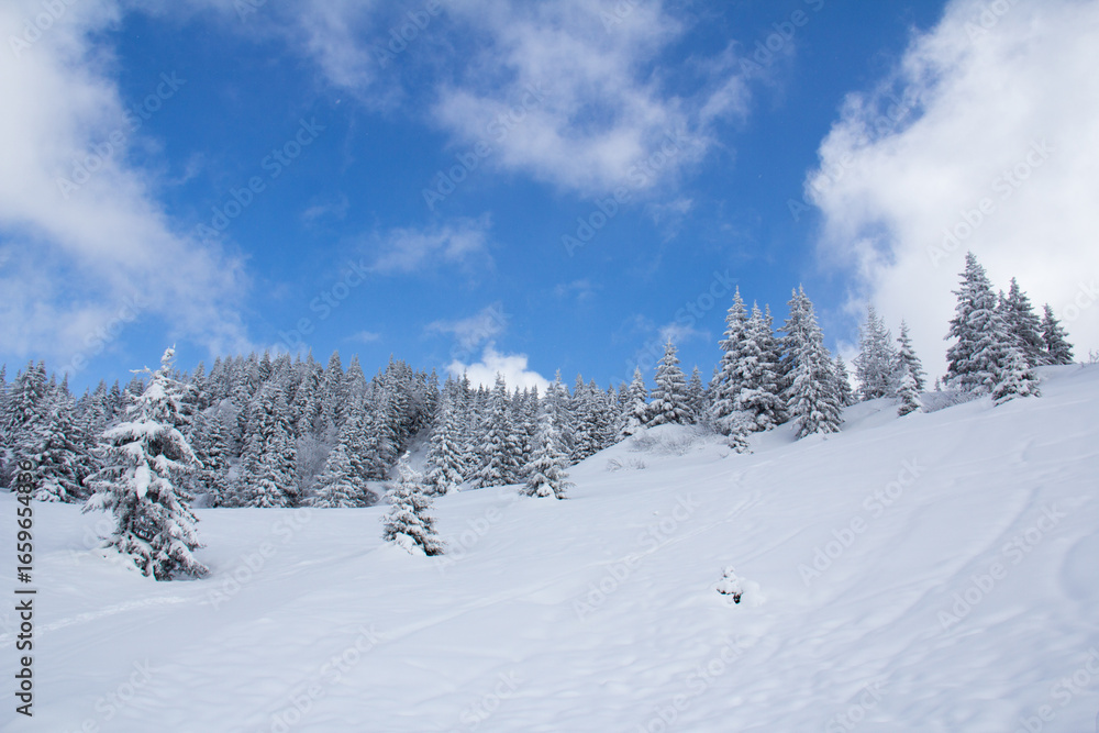 Obraz premium Alpine landscape in Les Houches, Chamonix, Mont Blanc, Haute-Savoie, France