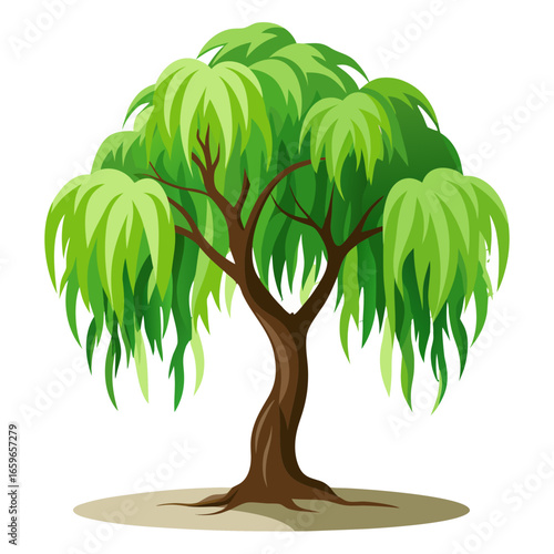 Willow Tree vector illustration 