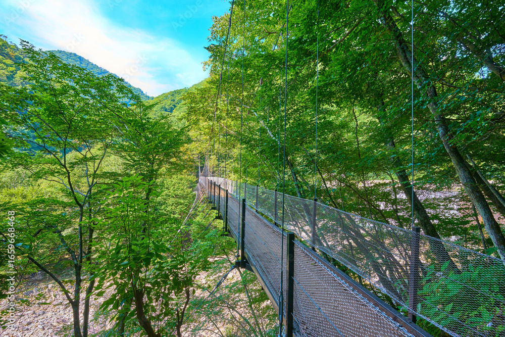 Obraz premium 山梨県山梨市 西沢渓谷の笛吹川に架かる二俣吊橋