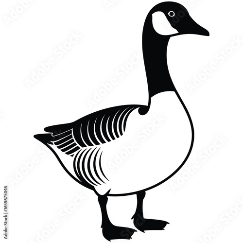 goose on white background